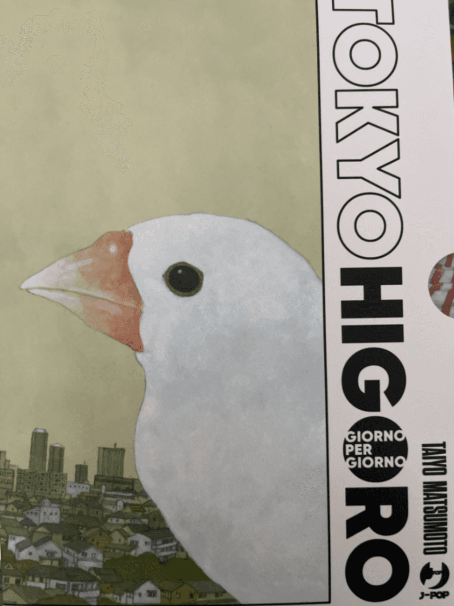 Tokyo higoro. Giorno per giorno. Box